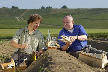 Leichter Weißwein und Spargel - das passt auch in der Pause zur Erntezeit gut zusammen. Spargel Ernte